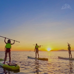 Tour Chèo SUP Bình Minh Trên Biển