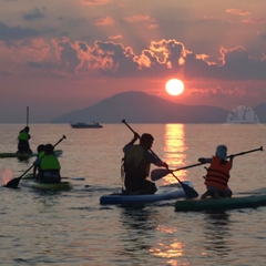 Tour Chèo SUP Bình Minh Trên Biển