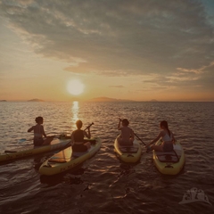 Tour Chèo SUP Bình Minh Trên Biển