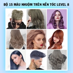 Bộ 15 màu nhuộm trên nền tóc Level 8