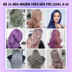 Bộ 21 màu Nhuộm trên nền tóc Level 9-10