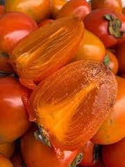 CÂY GIỐNG HỒNG NHÂN HẬU