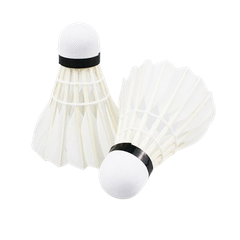 Cầu lông SL-005 1 cái-TA