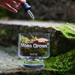 Set tinh dầu+hoa khô Citta-BL