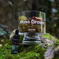 Set tinh dầu+hoa khô Citta-BL