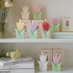 Nến thơm hoa tulip-BL