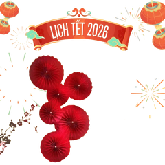 Set quạt giấy đỏ 6c trơn-QSN/GB