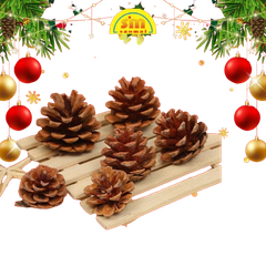 Noel-Trái thông 4cm 6c 91-401-JC