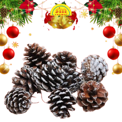 Noel-Trái thông phủ tuyết 4cm 6c 91-402-JC