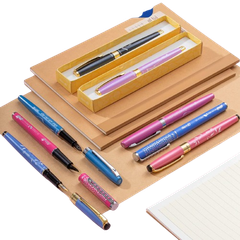 Bút máy TL TP-FTC02 cán hồng-xanh-LV