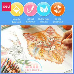 Bút chì 36 màu Deli dạng cốc 7070-LA