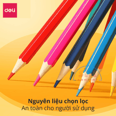 Bút chì 36 màu Deli dạng cốc 7070-LA