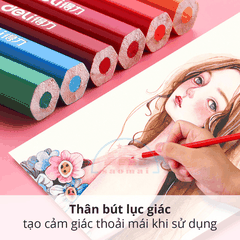 Bút chì 36 màu Deli dạng cốc 7070-LA