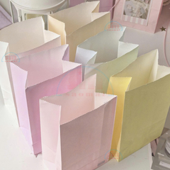Set 5c túi giấy 18*19cm pastel