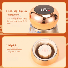 Bình nước nhiệt XJX-7838 450ml-TL