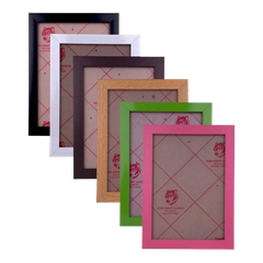 Khung hình Enter KH301 15x21cm-SM