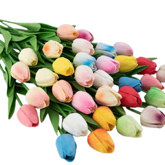 Cành hoa tulip búp/hoa tulip nở-DS