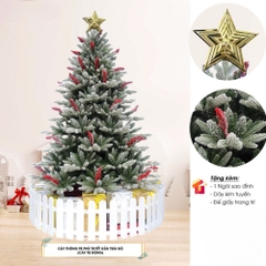 Noel-Cây thông 1,5m LP-SFR-D1-5HS PE phủ tuyết gắn trái đỏ-CC