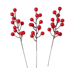 Noel-Trái cherry-TiTi/HH
