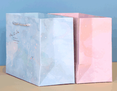 Túi giấy Galazy/Capybara 8071M/8074M 24.5x19.5x9.5-TL/LZM/HH