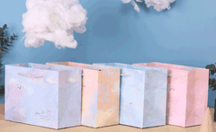 Túi giấy Galazy/Capybara 8071M/8074M 24.5x19.5x9.5-TL/LZM/HH