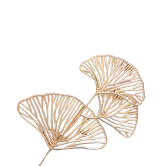 Nhánh quạt vàng nhỏ-TiTi