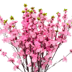 Tết-Cành mai/cành đào-H/TiTi