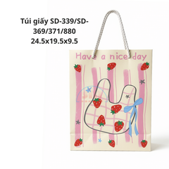 Túi giấy SD-339/SD-369/371/880 24.5x19.5x9.5-TL