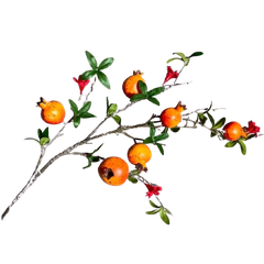 Cành lựu lớn 72-TiTi