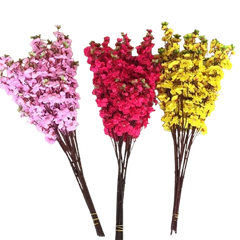 Tết-Cành mai/cành đào-H/TiTi