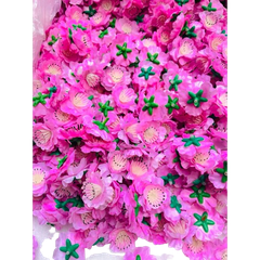 Tết-Mai Đào vải 0,5kg-NM/TiTi