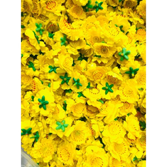 Tết-Mai Đào vải 0,5kg-NM/TiTi