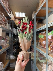 Noel-Cây thông 30cm quả đỏ-LK