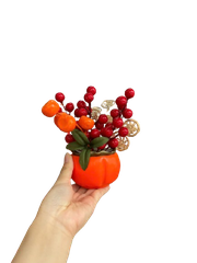 Chậu đào đông-KTN