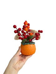 Chậu đào đông-KTN