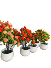 Chậu trái cây nhỏ-KTN