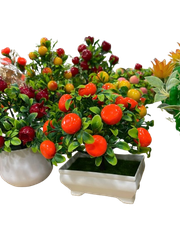 Chậu trái cây nhỏ-KTN