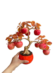 Chậu trái cây lớn ( Táo - Lựu - Hồng ) -KTN