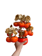 Chậu trái cây lớn ( Táo - Lựu - Hồng ) -KTN