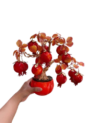 Chậu trái cây lớn ( Táo - Lựu - Hồng ) -KTN