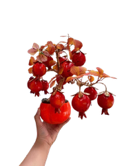 Chậu trái cây lớn ( Táo - Lựu - Hồng ) -KTN