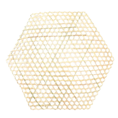 Vĩ tre lục giác giác 2T-SM