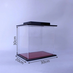 Hộp mica Enter BOX201 30x20x30cm mica dày 5mm, đế đen 10mm, đèn led-SM