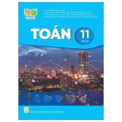 Kết nối trí thức Toán 11/1-TBTH