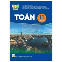 Kết nối trí thức Toán 11/2-TBTH