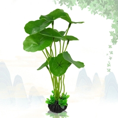 Trang trí bể cá ,hồ cá, tiểu cảnh thủy sinh Mẫu Cây dương xỉ lá tròn TS30