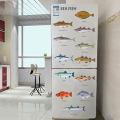 Decal dán tường Sticker dán tường in chất lượng cao có keo mặt sau mẫu Các loại cá biển DD223002
