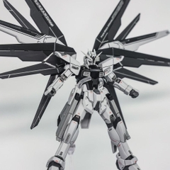 Mô hình lắp ráp Robot Gun-dam HG 1/144 Freedom (Đen)  đồ chơi Toy (Tặng Base)
