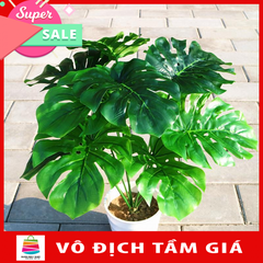 Cây hoa giả hoa nhựa monstera bonsai MeeFlower. Các mẫu hoa mới bắt kịp xu hướng.Cây hoa giả giống cây thật.