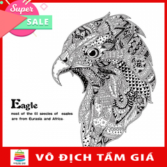 Decal dán tường Eagle AM9155 framedecals